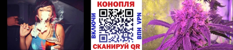 Купить закладки  Чусовой  Бошки марихуана SATIVA & INDICA 